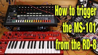 How to trigger the MS-101 / MS-1 sequencer from the RD-8 trigger output