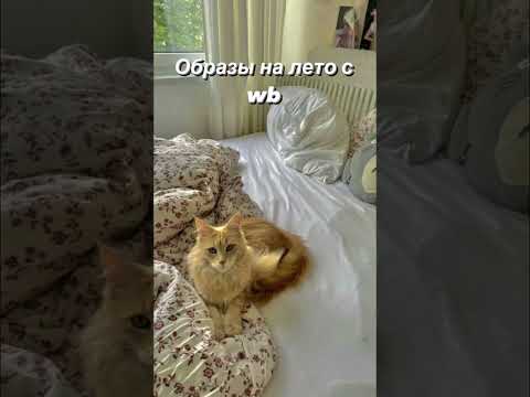 ВЕЩИ С ВБ №67 #wildberries #одежда #вб #wb #стиль #top #вайлдберриз
