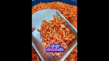 tôm đất Chính gốc Cà Mau#tomdatcamau  #ĐặcSảnMiềnTây #TômKhôNgon #ẨmThựcQuêHương #tomkhocamau