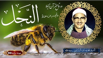 Mohamed Seddiq Menshawi HDماتيسر من  سورة النحل للشيخ محمد صديق المنشاوي رحمه الله   بجودة عالية