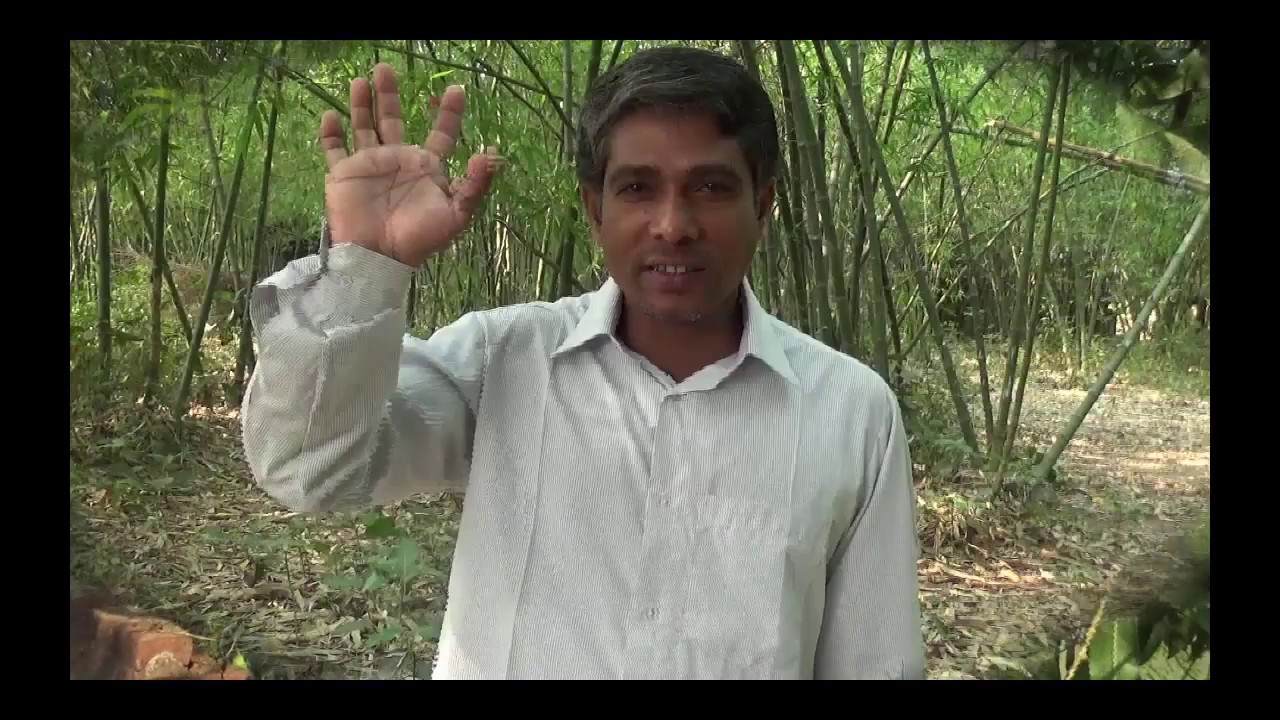 Anup Kumar Mondal-A Professional Graphics Designer |Upwork Profile Video