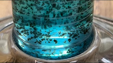 Double Displacement of Copper Sulfate & Sodium Sulfide in RamZland!⚗️ CuSO4+Na2S → CuS+Na2SO4