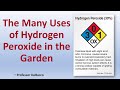 The many uses of hydrogen peroxide in the garden