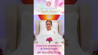 I have to do whatever I can for Baba's Yagya - BK MOHINI DIDI