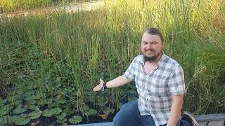 Ausflug zum Wassergarten - Goldfische, Seerosen, Wasserfall & mehr