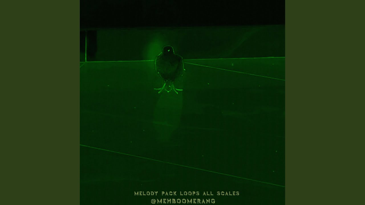 148 Bpm Melody Loop (All Scales Included)