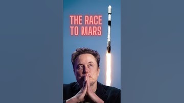 SpaceX Will Make Up 99% Of Space Travel