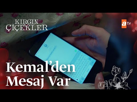 Kemal'den, Defneye mesaj var! ''Camgöz''😅 - Kırgın Çiçekler 62.Bölüm