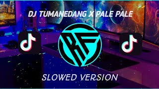 DJ TUMANEDANG x PALE-PALE SLOW VERSION NEW 2022
