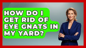 How Do I Get Rid Of Eye Gnats In My Yard? - Insects and Invaders