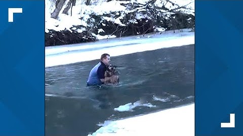 Man's dramatic rescue of dog from freezing river in Vermont caught on video