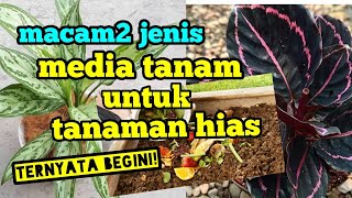 Macam2 Jenis Media Tanam Untuk Tanaman Hias