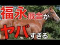 【良血だらけ】福永祐一厩舎の質がヤバいことになってきた…。大馬主さんが続々とバックアップ。