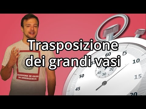 TRASPOSIZIONE DEI GRANDI VASI in 60 secondi o meno - Spiegazione