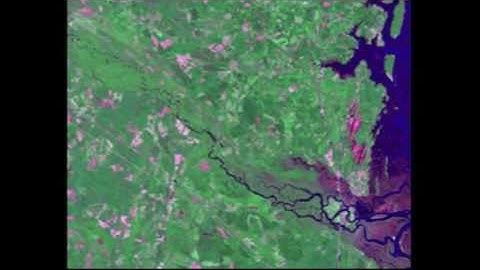 WHRC: National Biomass and Carbon Dataset