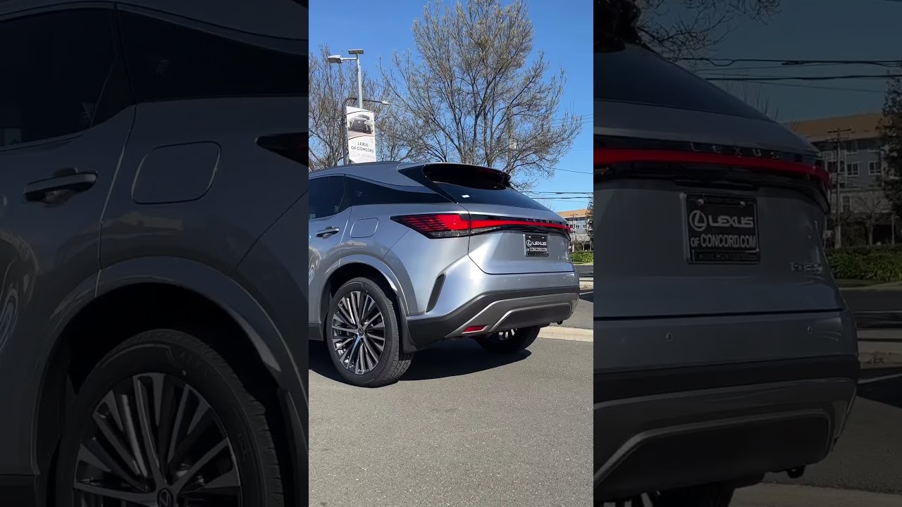 2023 Lexus RX 350 PREMIUM Shorts