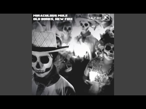 Miraculous Mule — You Got To Take Sick And Die