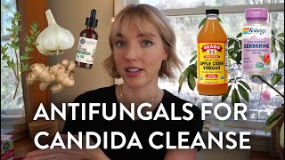 Natural Antifungals for Candida Overgrowth