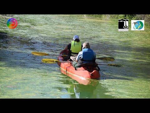 Centro desarrollo sustentable alerta preocupante situación de  contaminación laguna Petrel