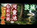 「河童池」と「白蛇伝説」がある茨城の神社を歩いてみた