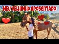 EU AMO DEMAIS ESSE CAVALO VELHINHO