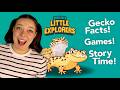 Meet a Gecko with Eilidh | Fun Facts and Games!