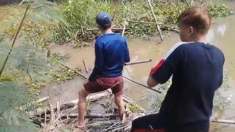 CÂU CÁ THIÊN NHIÊN[VỀ QUÊ ĂN TẾT- VÀ ĐI CÂU CÁ RÔ ĐỒNG VUI THẬT]MINH ĐỨC MT