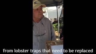 Reclaimed Lobster Trap Wood Frames