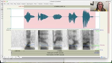Voice Assessments and Acoustic Analysis with Praat