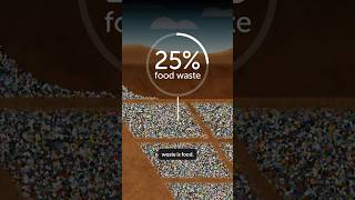 Famous Trash vs Compost vs Disposal: What’s Best for Food Waste? Net Worth