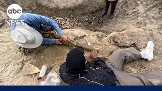 Inside NFL star Myles Garrett's incredible dig for dinosaur fossils in North Dakota