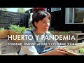 Me afectó la Pandemia 😱 | 🌼 🌱 De vuelta al canal con #Siembras, #Transplantes y un MEGA CONCURSO! 🎊