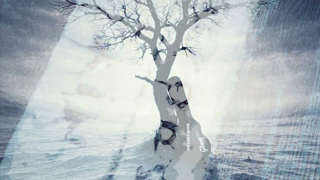 WMS | Purpose Of Pain