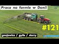 Praca na farmie w Danii #121 | Work on the farm in Denmark #121 gnojowica slurry manure gylle