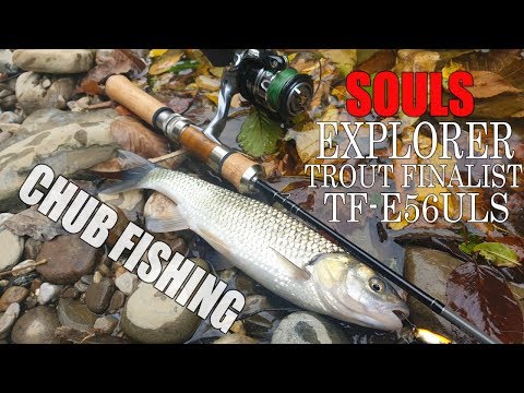 CHUB FISHING with SOULS Explorer Trout Finalist TF-E56ULS