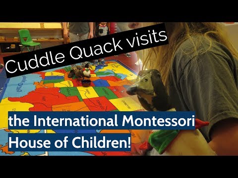 Cuddle Quack visits the International Montessori House of Children!