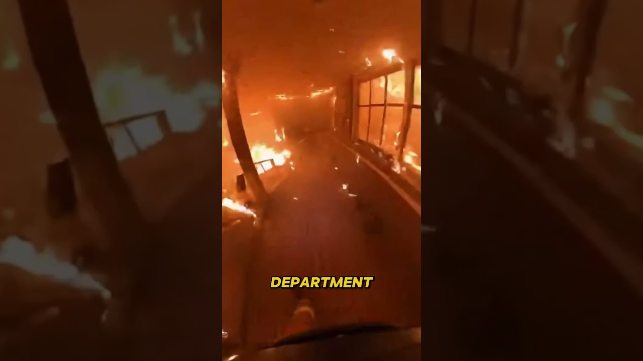 Firefighter Risks It All For One Cat!