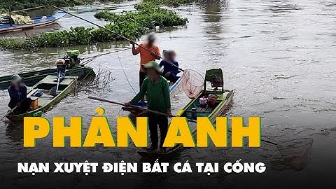 Mạng xã hội phản ánh nạn xuyệt điện bắt cá tại cống Tha La, An Giang yêu cầu chấn chỉnh