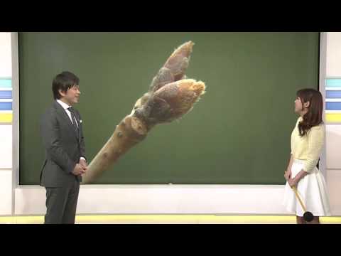 【笑える＆面白画像】何回見ても笑ってしまう面白画像集