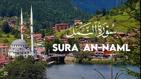 سورة النمل بصوت يريح القلب 💚 سبحان من رزقه هذا الصوت!