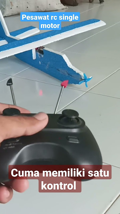 pesawat rc unik cuma punya satu fungsi kontrol