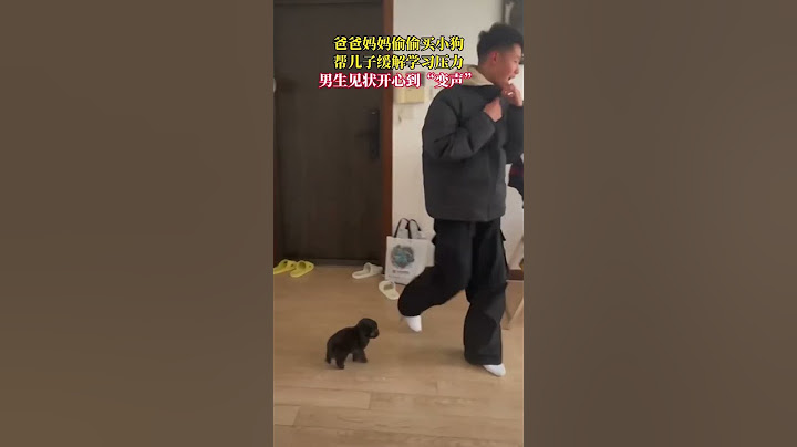 爸爸妈妈偷偷买小狗，帮儿子缓解学习压力，男生见状开心到“变声”🤣🤣