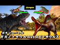 恐竜バトル　スピノサウルス VS ギガノトサウルス