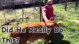 Is Our Boar Mean? / Couple Renovates Abandoned Homestead / Shed To Tiny House