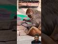 🐒 बंदर 🐒🌲🙏 लंगूर KA VIDEO #bandar #funnymonkey #shortsfeed #viralvideo #trending