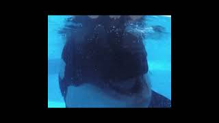 Better place // Orca mep ─