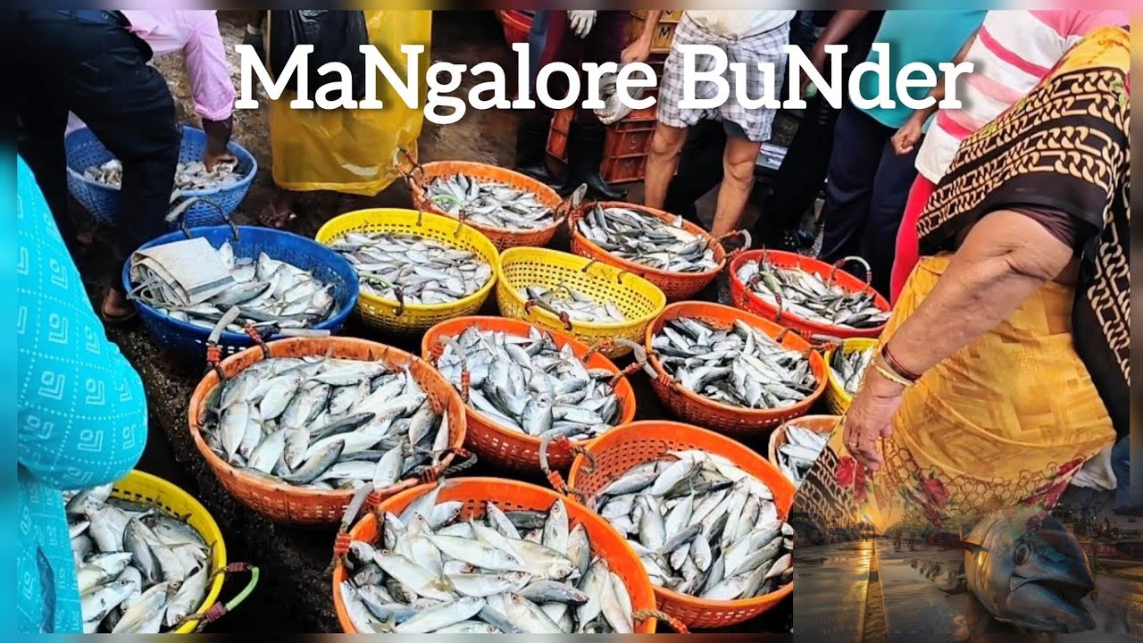 Fish 🐬 and Juice 🍹 | Mangalore Bunder | Mangalore Fish Market | Sea Food 😍