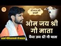 ओम ! जय जय गोमाता पाप शाप दुःख गऊमाता आरती