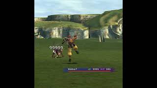Final Fantasy X: Dogfight Edition 🐶🐺