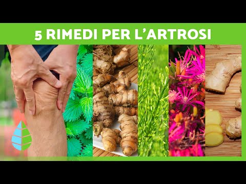 5 PIANTE MEDICINALI